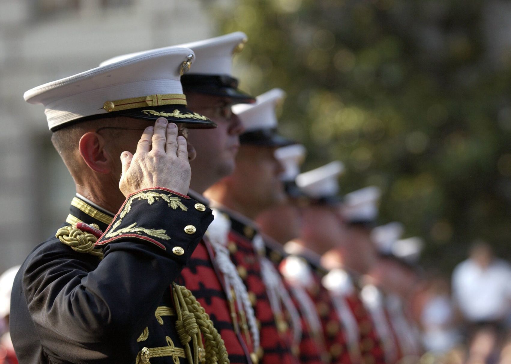 Veterans Day